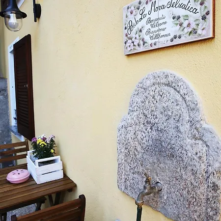 Bed and breakfast La Mora Selvatica Bieno (Piedmont)